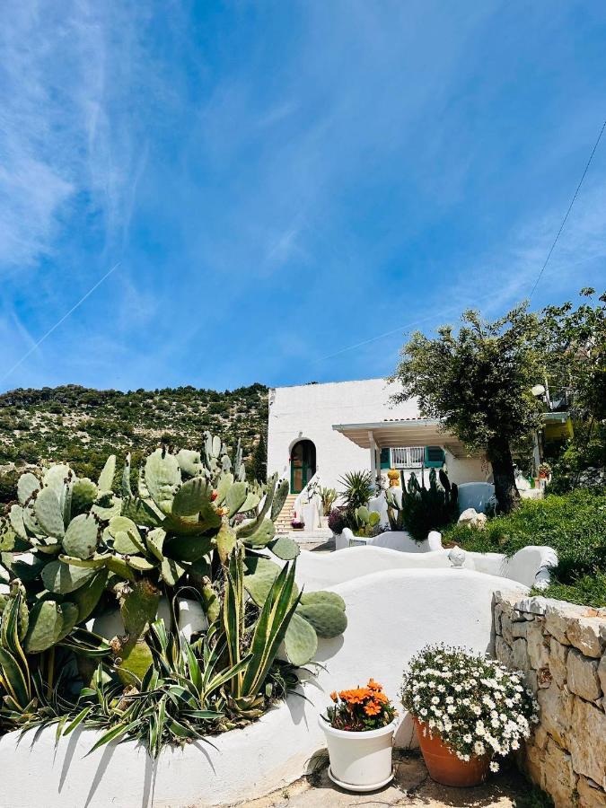 Casa Molo 13 Villa Mattinata Eksteriør billede