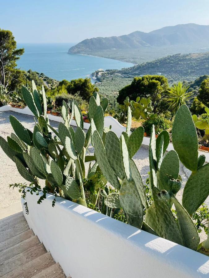 Casa Molo 13 Villa Mattinata Eksteriør billede